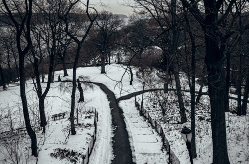 Snow-covered pathway in a tranquil New York City park during winter. Captivating and serene scene.