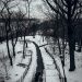 Snow-covered pathway in a tranquil New York City park during winter. Captivating and serene scene.