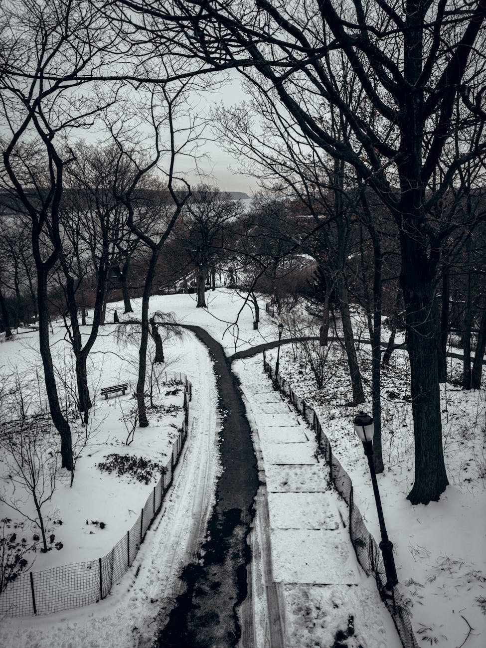 Snow-covered pathway in a tranquil New York City park during winter. Captivating and serene scene.