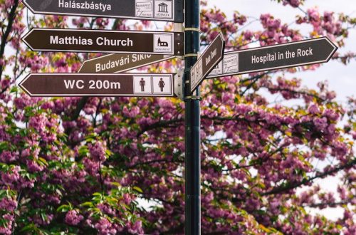 Signpost with spring cherry blossoms in Budapest, offering directions to local landmarks.