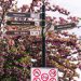 Signpost with spring cherry blossoms in Budapest, offering directions to local landmarks.