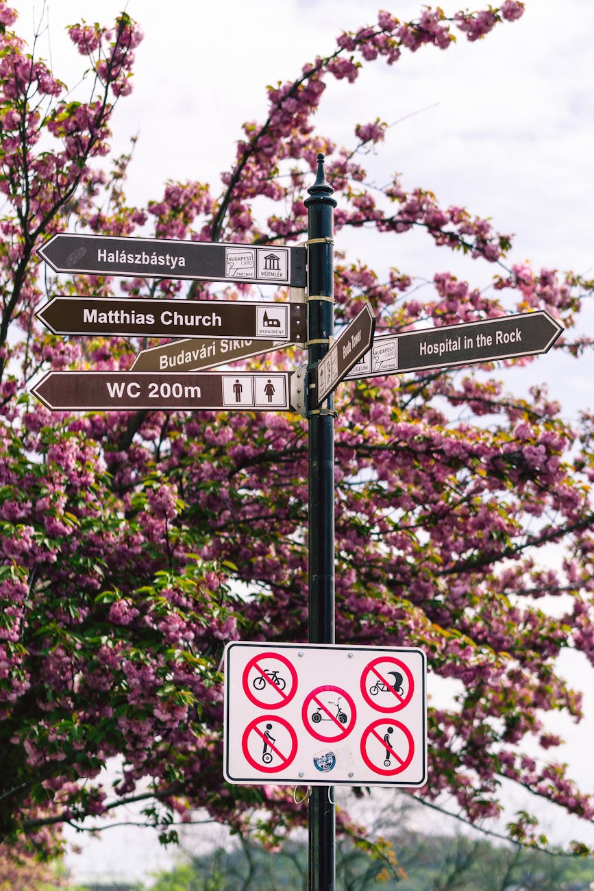 Signpost with spring cherry blossoms in Budapest, offering directions to local landmarks.