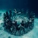 Diver exploring the underwater sculpture circle in Gili Meno, Indonesia.