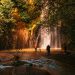 People photographing a scenic waterfall in the lush forests of Cerveteri, Italy.