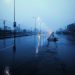 Rain-soaked street at twilight with glowing streetlights and misty atmosphere.