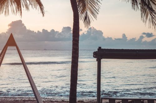 Peaceful view of a tropical beach with palm trees at sunrise. Perfect for relaxation and travel inspiration.